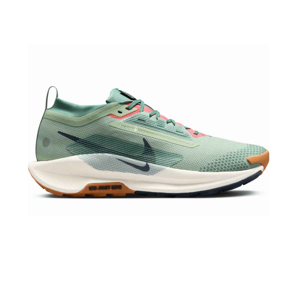 Nike Pegasus Trail 5 Gore - Tex