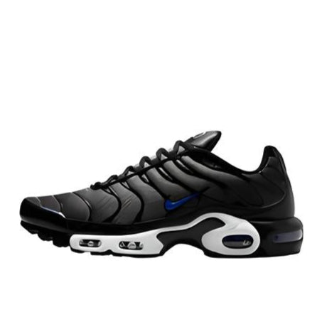 Nike Air Max Plus