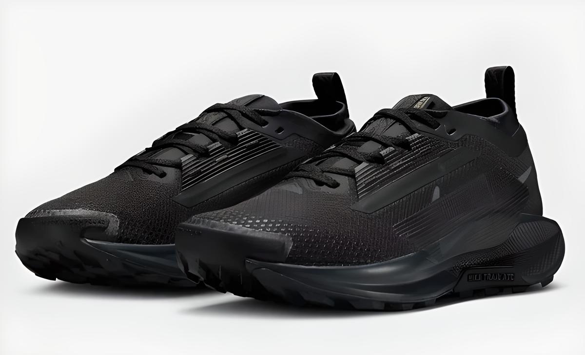 Trail 5 GORE-TEX FQ0912-002 Negro Antracita Negro