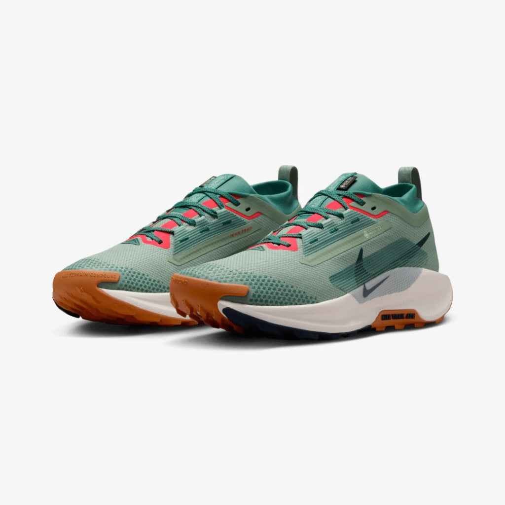 Nike Pegasus Trail 5 Gore - Tex