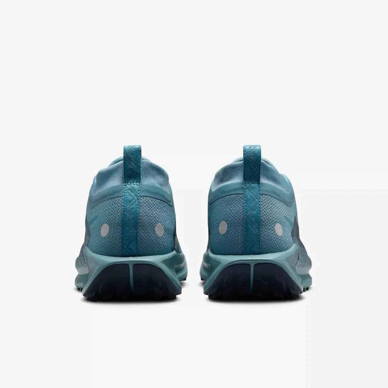 NIKE PEGASUS TRAIL 5 GORE-TEX